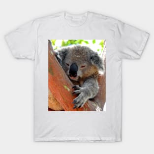 Koala T-Shirt